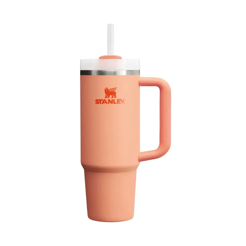 QUENCHER H2.0 FLOWSTATE 880 ML NECTERINE