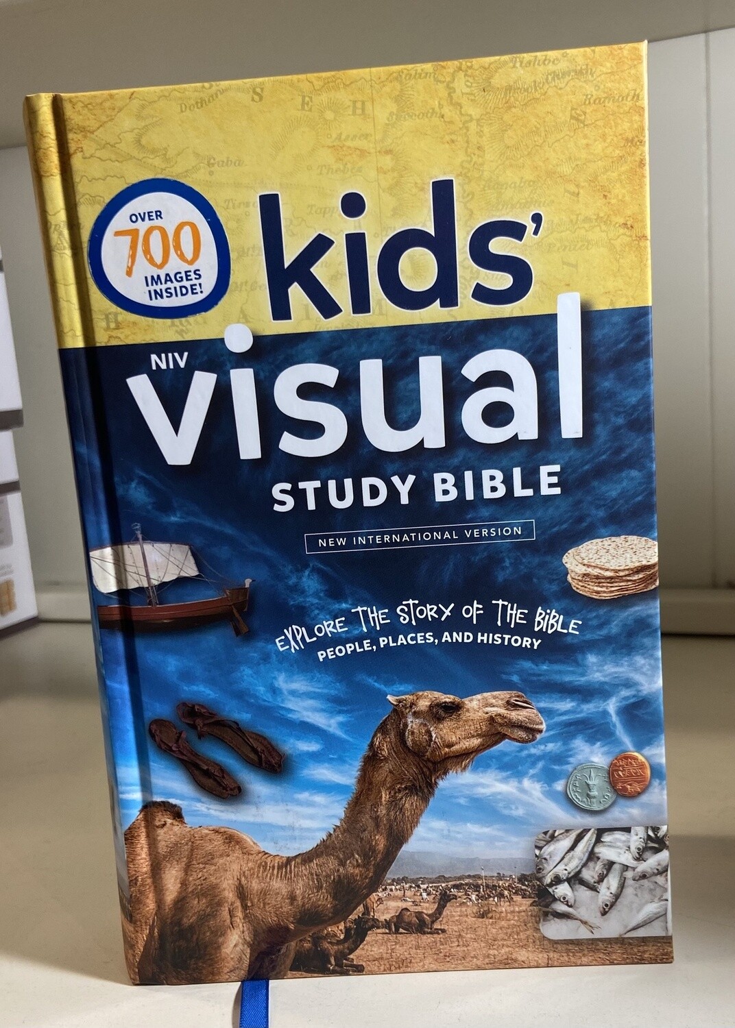 Kids' Visual Study Bible: NIV