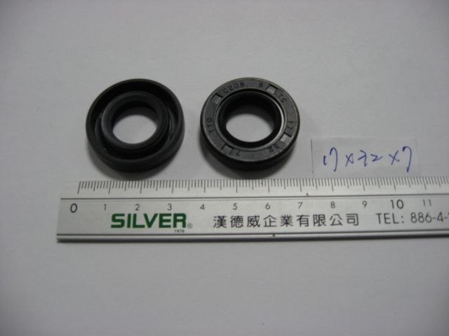 Oil Seal