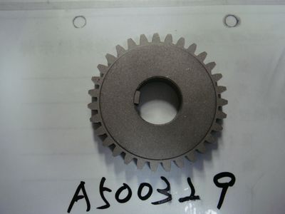 Gear (31T) for Most 1HP Feeders