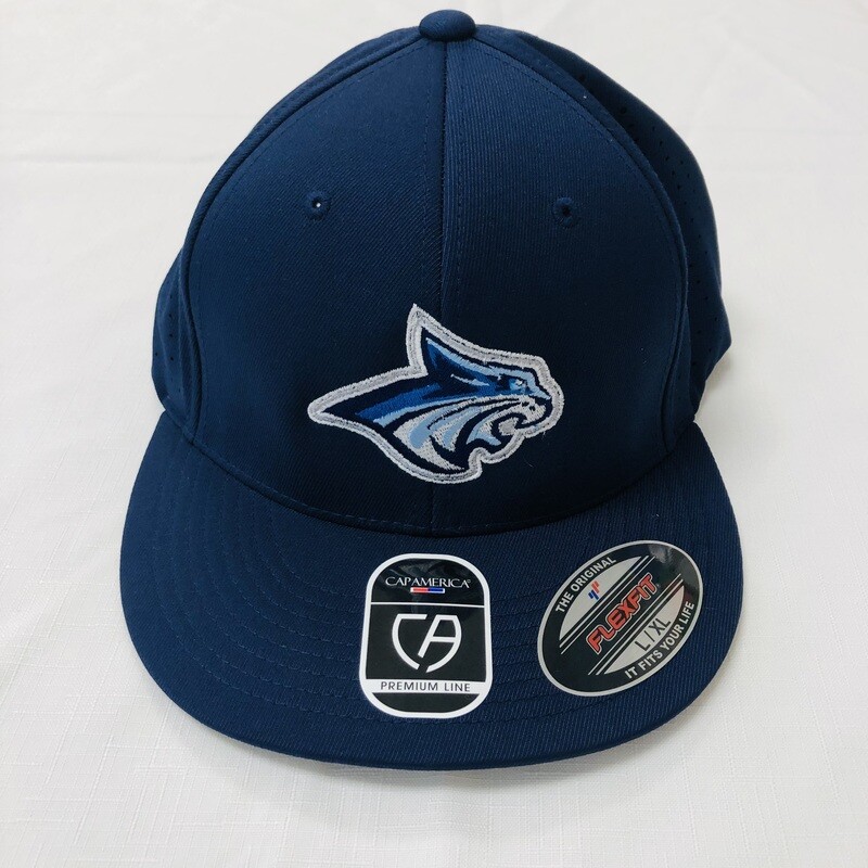 Baseball Hat