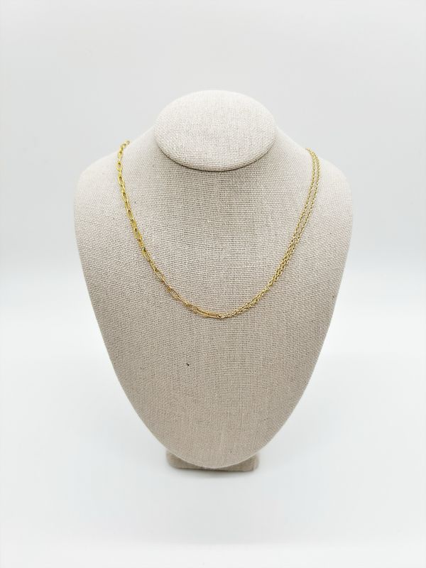 Double Chain Necklace