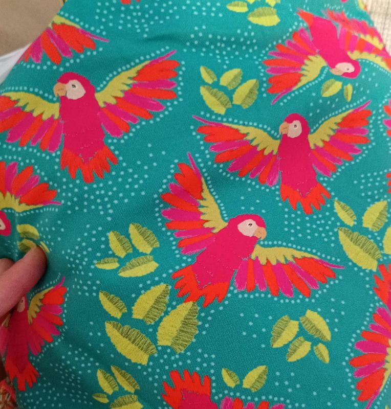 Peto pájaros 🦜