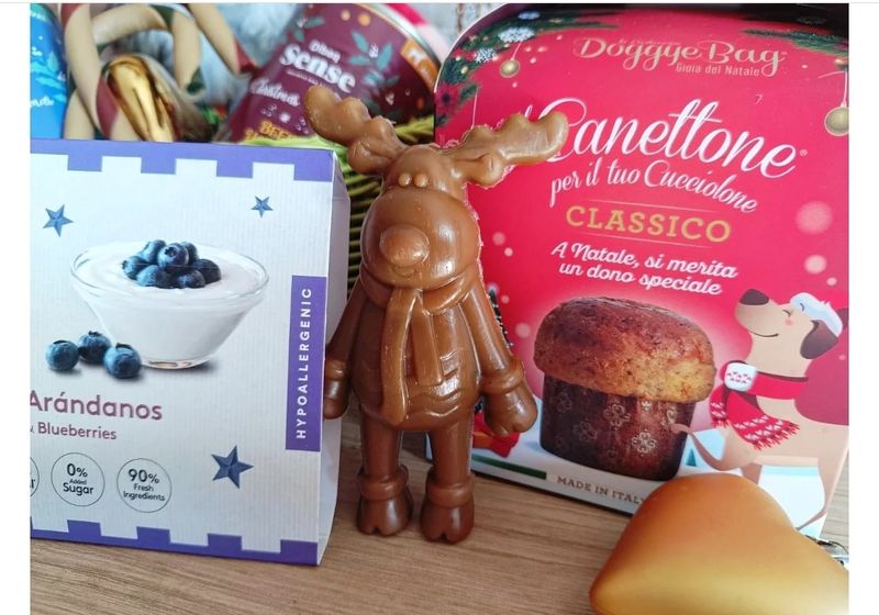 Papá Noel, Renos y bastones de navidad