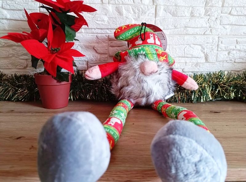 XMAS Gnomo XXL