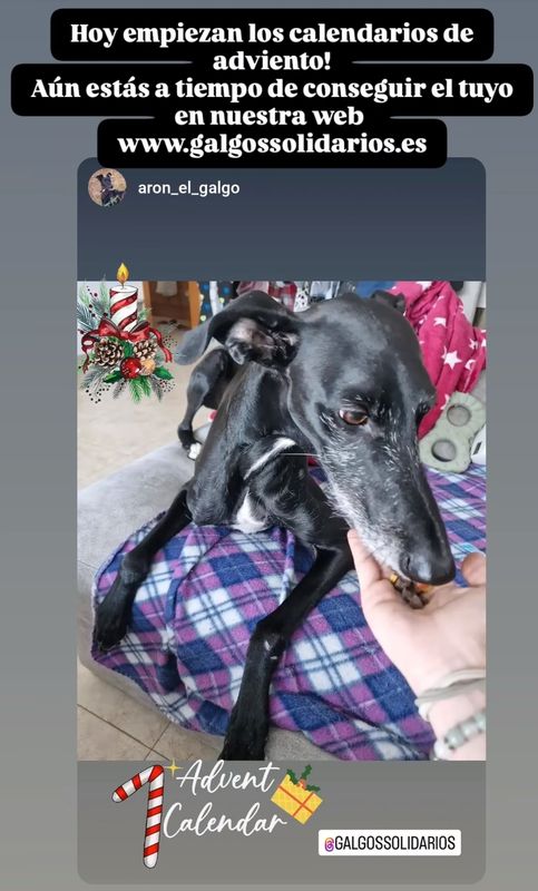 Nuevo calendario de adviento