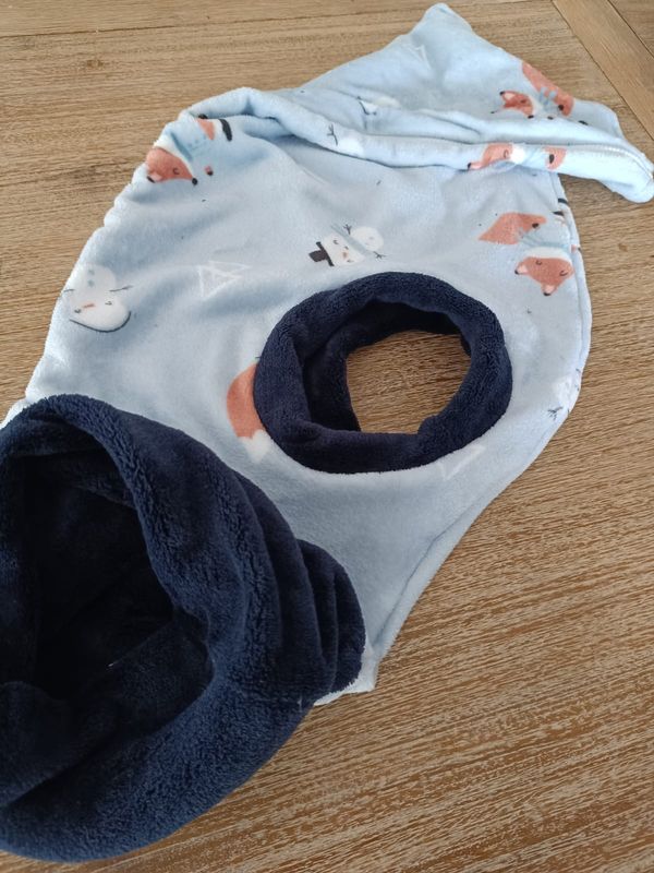 Coralina 🦊 y ☃️ y❄️