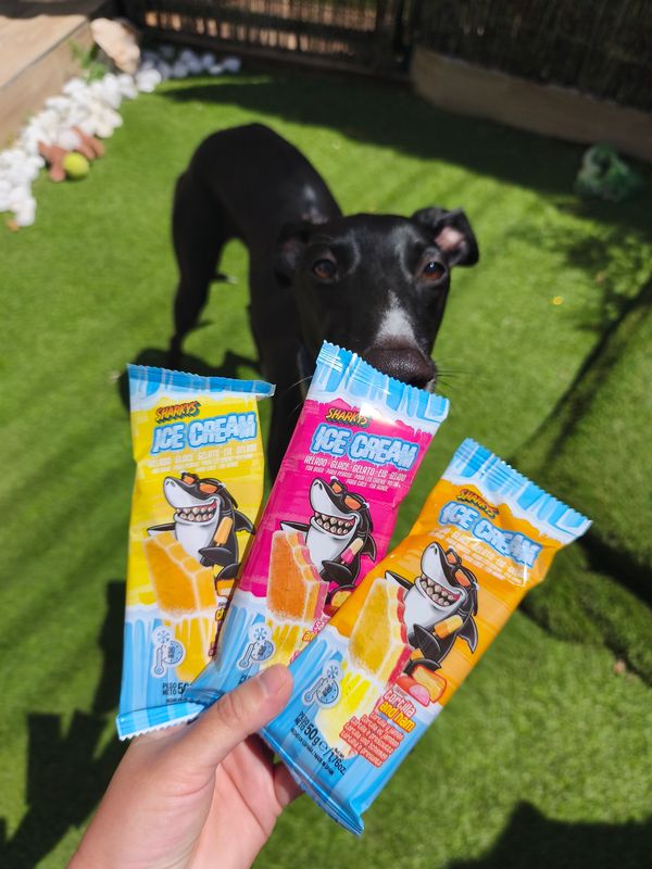 Pack Gourmet helado