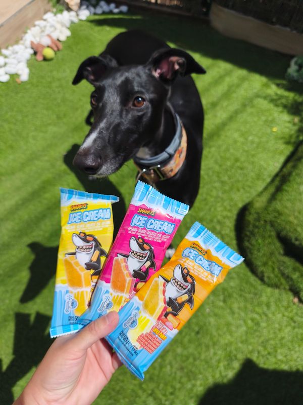 Pack Gourmet helado