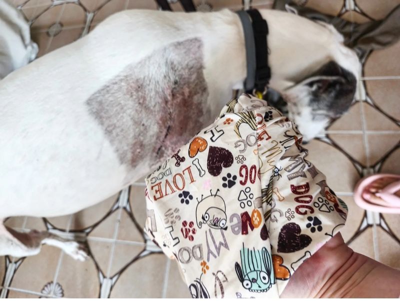 Pijama 4 patitas algodón 