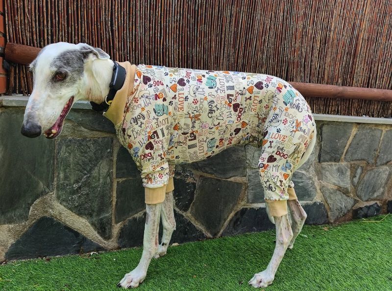 Pijama 4 patitas algodón 