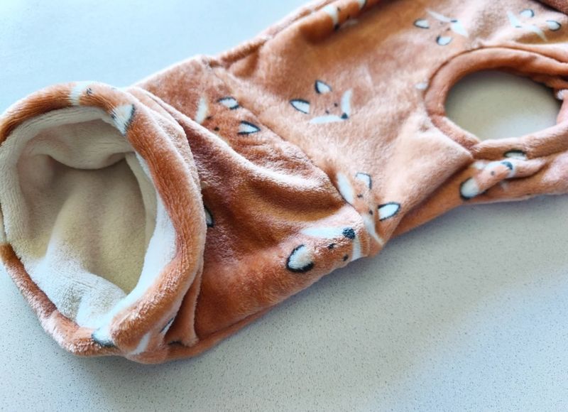 Coralina zorritos 🦊