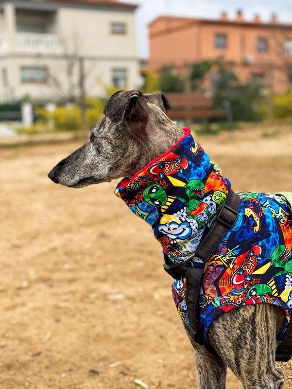 Sudadera dibujos 🦖🪐🛸🚀🛹