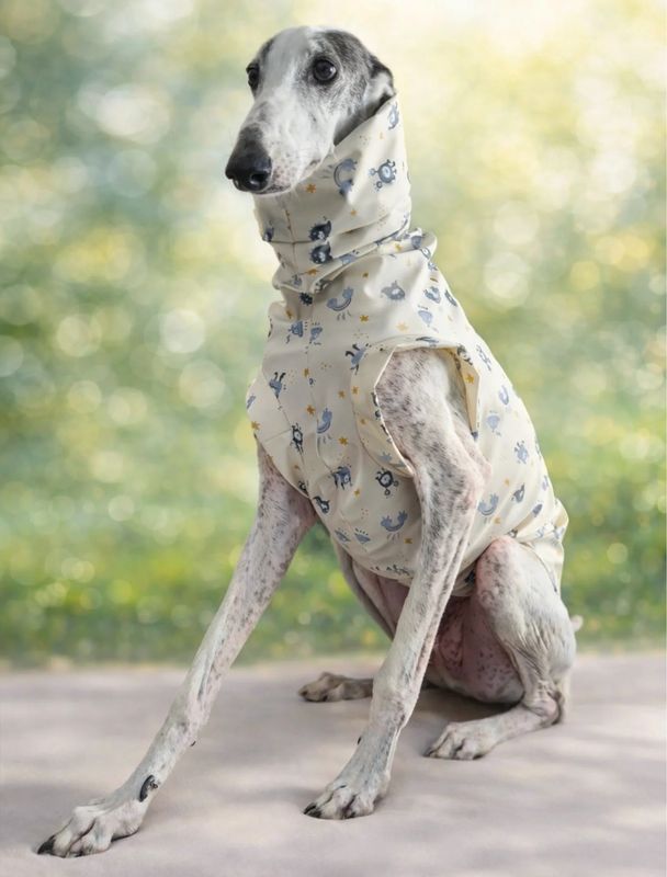 Impermeable verano Rainbow