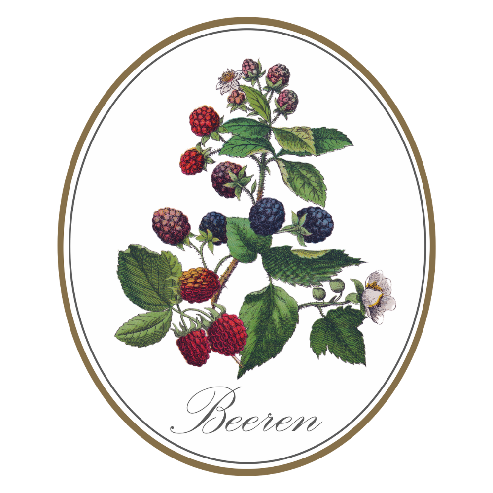 Seewasser Ginprinte 250g in Geschenkkarton