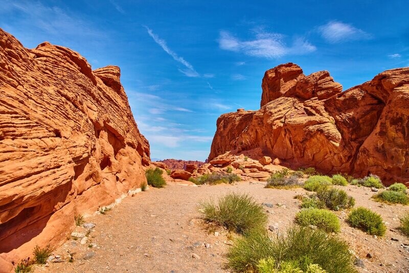 Visit Redrock Canyon
