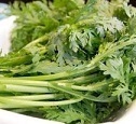茼蒿 /包