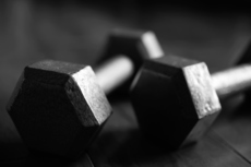Workout Plans