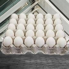 Eggs - Flat of 30