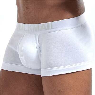 100% Cotton Men's Boxer Shorts, Underpants, Male Pants, 