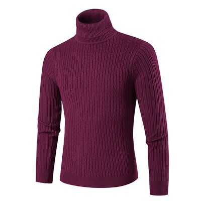 Men's Sweaters Winter Autumn Turtleneck Long Sleeve Plain Stretch Knitted Pullovers Basic Tops Slim Fit Fashion Mens Sweater
