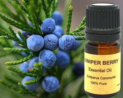 Juniper Berry Essential Oil 15ml