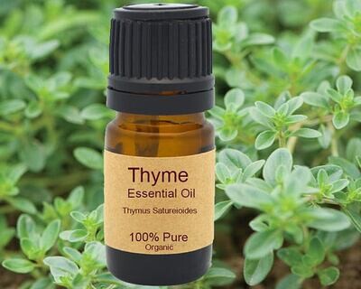 Thyme Essential Oil Organic 15ml