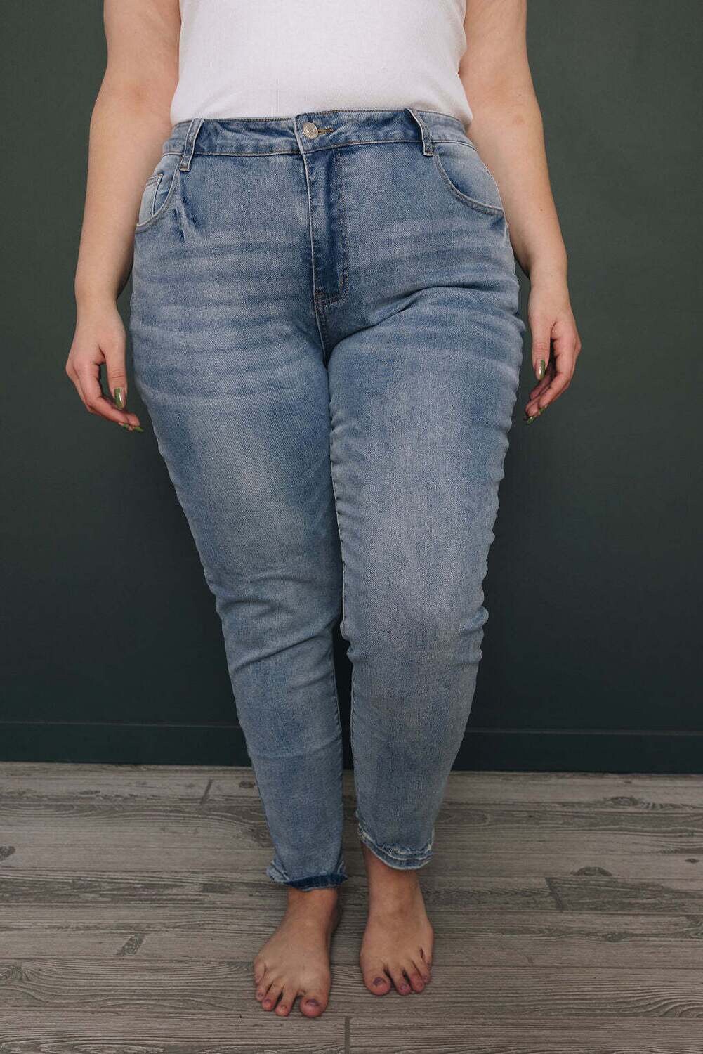 Plus Size - Delphi Jeans