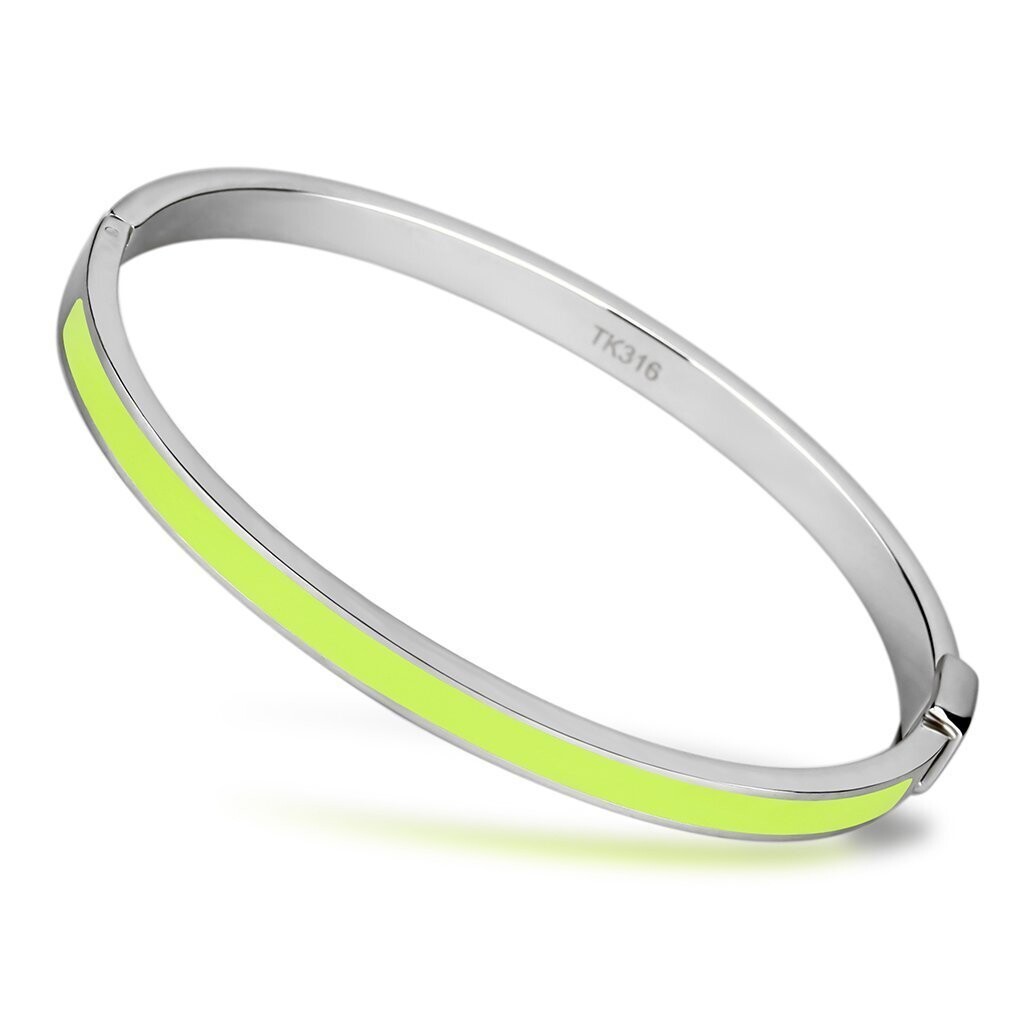 TK746 - High polished (no plating) Stainless Steel Bangle with Epoxy 