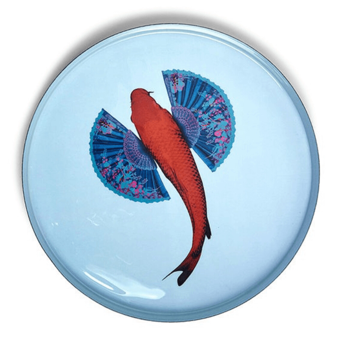 Plateau Rond Fishkoi