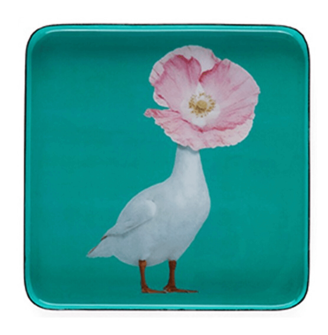 Vide Poche Diva