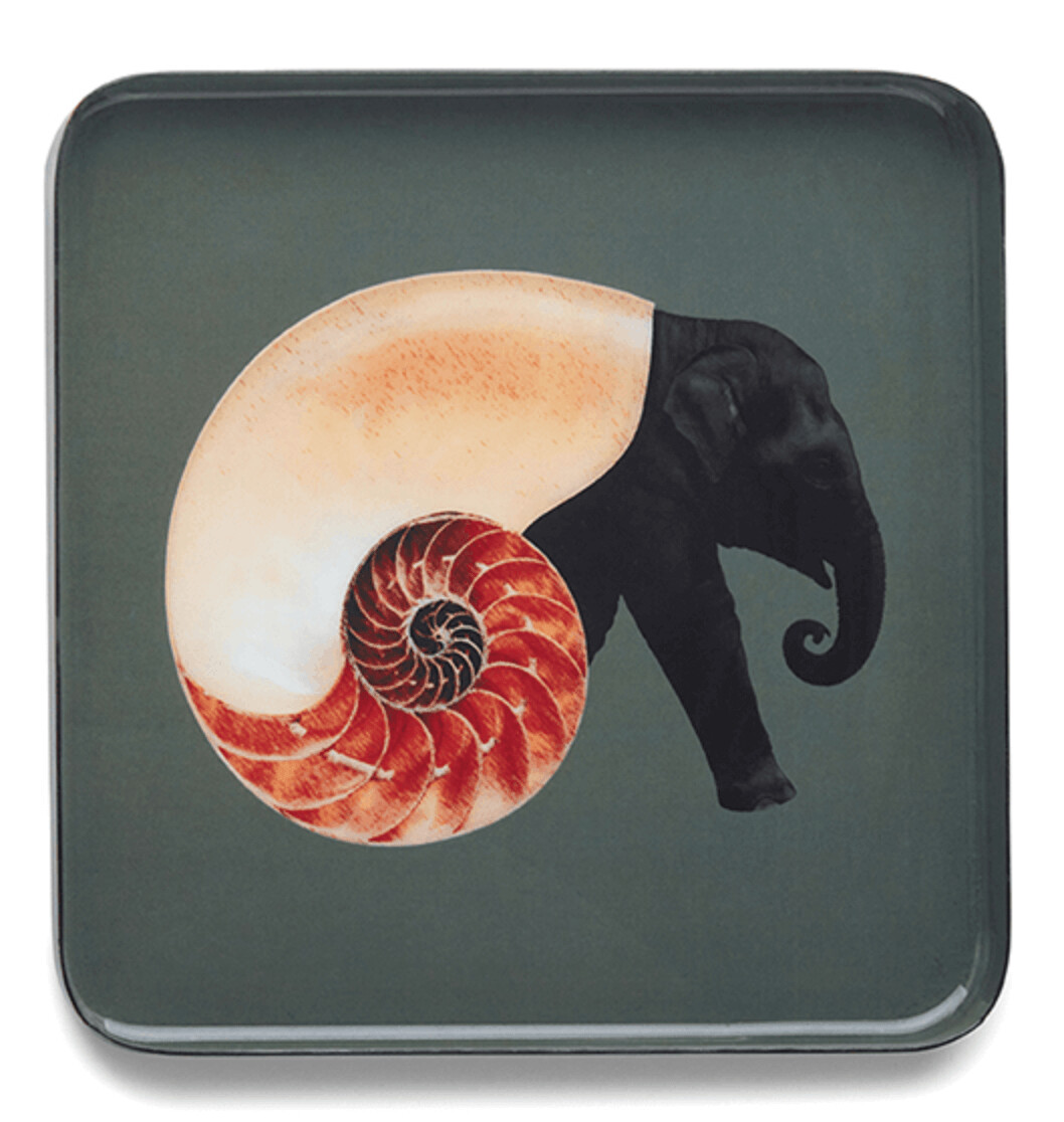 Vide Poche Shellephant