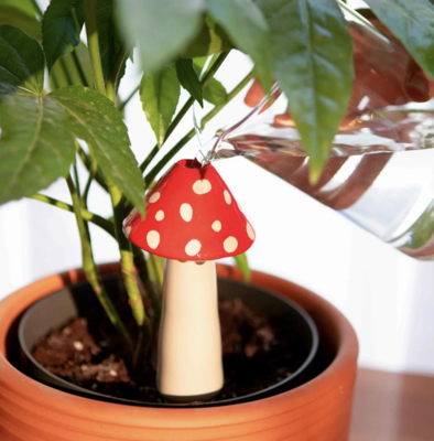 DISTRIBUTEUR À EAU AMANITA