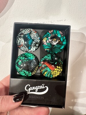 Lot 4 magnets Animaux