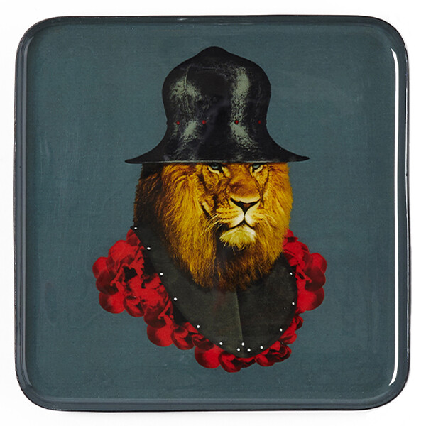 Vide Poche Lion Quichotte