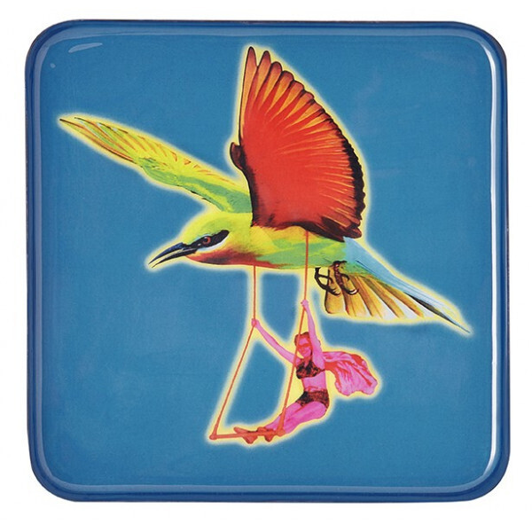 Vide Poche Phoenix Circus