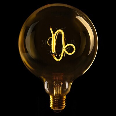 Ampoule Capricorne