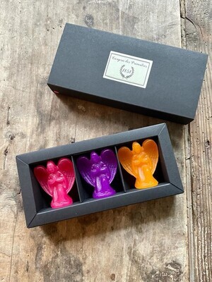 Coffret Ange Gabriel  déclinaison Fuchsia