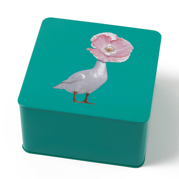 Boite Carrée Verte Claire Diva
