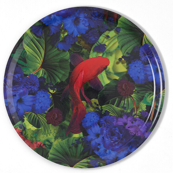 Plateau Rond Junglekoi