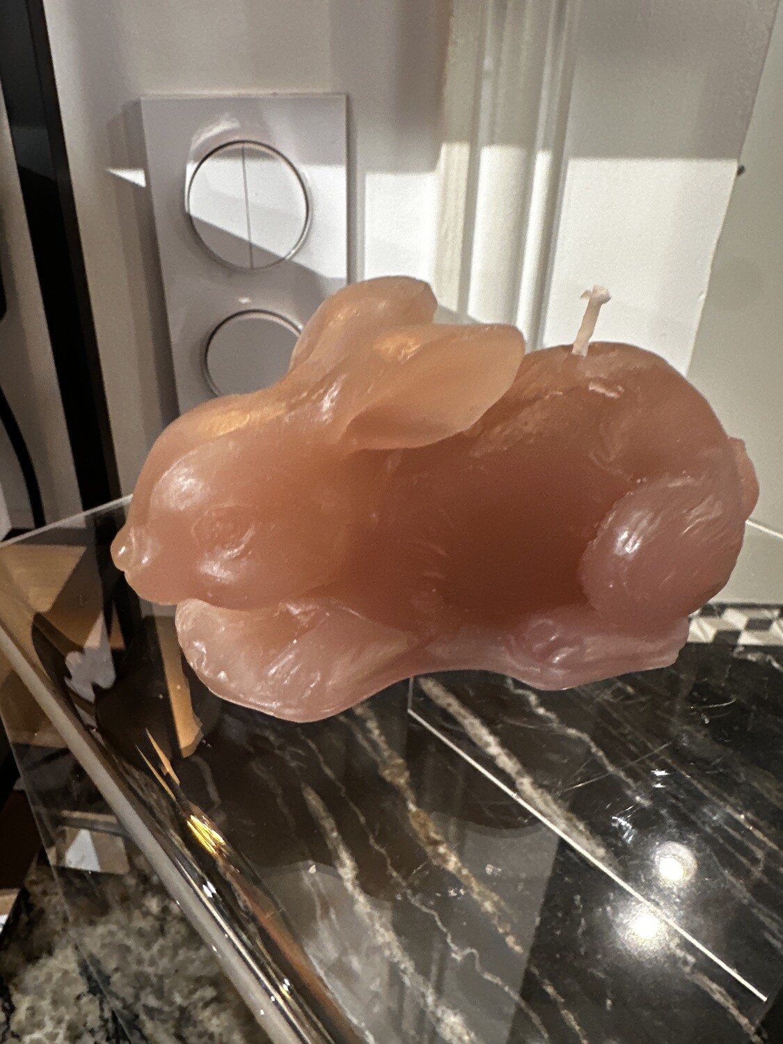 Lapin en cire Poudre