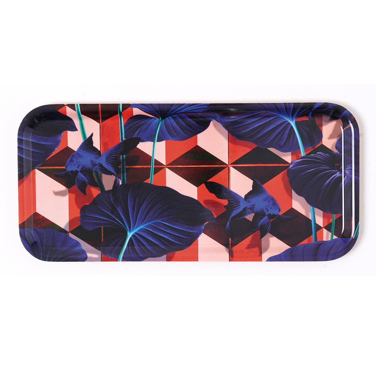 Plateau Rectangle Dami