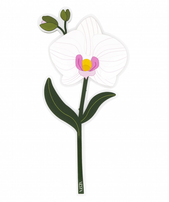 Collection Special Moments - Fleur Orchidée