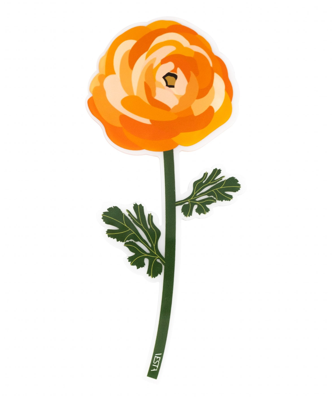 Collection Special Moments - Fleur Renoncule -