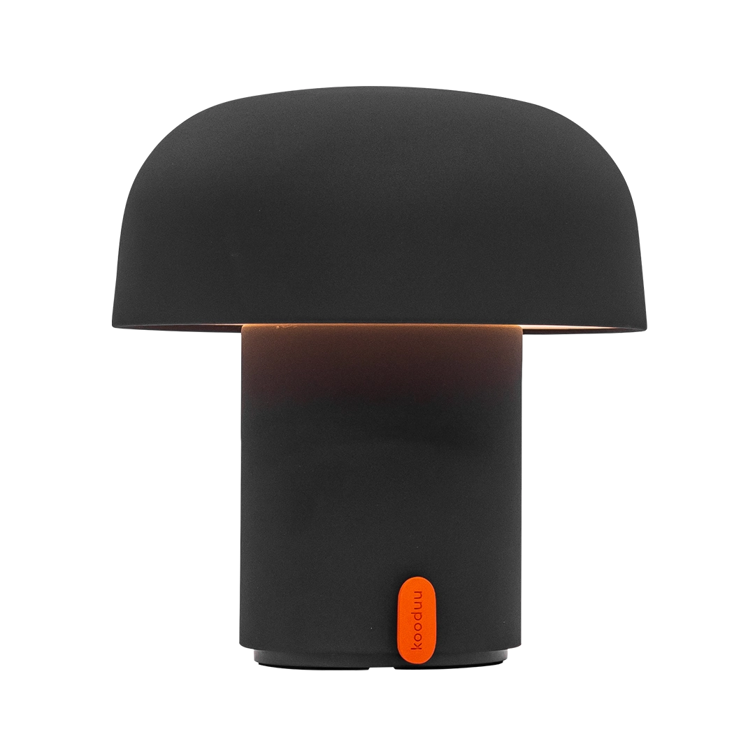 Lampe Sensa Anthracite