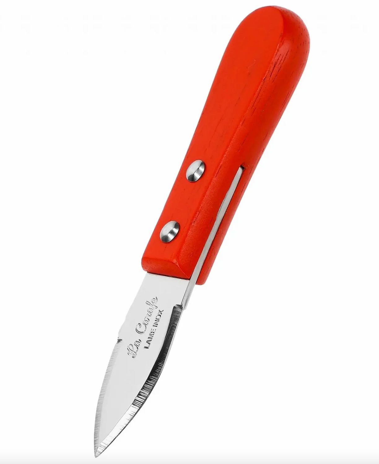 La lancette à Huitre Abricot