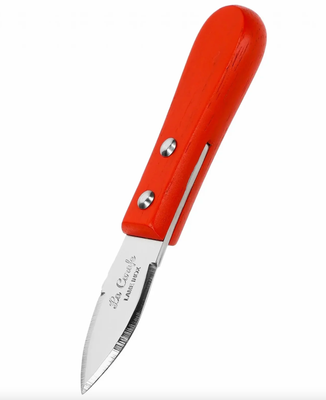 La lancette à Huitre Abricot