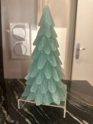 Bougie  Sapin- Celadon