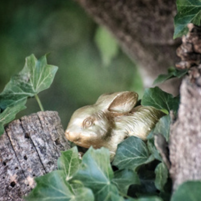 Les Lapins en cire