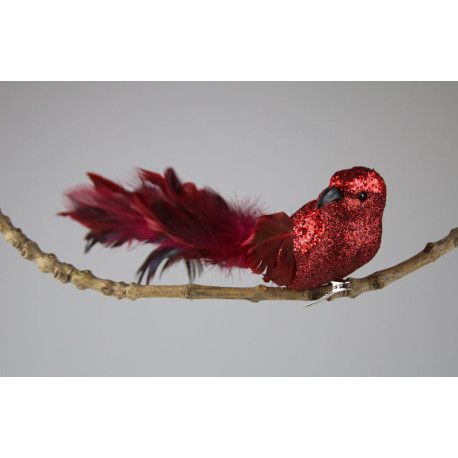 Oiseau sur Pince plumes Rouge